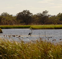 Anytime Adventures in Mandurah  the Peel Region - New South Wales Tourism 