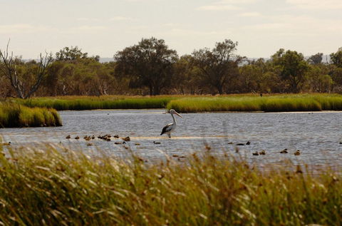 Anytime Adventures In Mandurah & The Peel Region - New South Wales Tourism  0