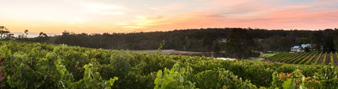 Aravina Estate - New South Wales Tourism  0