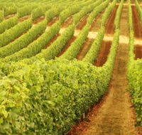 Happs Wines - New South Wales Tourism 