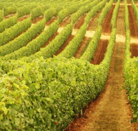 Fermoy Estate - New South Wales Tourism 