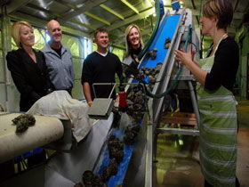  New South Wales Tourism 