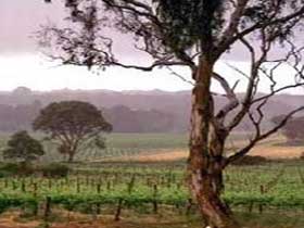  New South Wales Tourism 