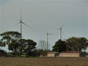 Wattle Point Wind Farm - New South Wales Tourism  0