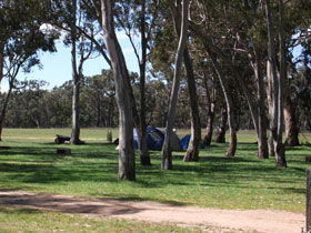Naracoorte SA New South Wales Tourism 