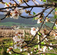 Cradle of Hills McLaren Vale Winery - New South Wales Tourism 