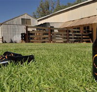 Wilkadene Woolshed Brewery - New South Wales Tourism 