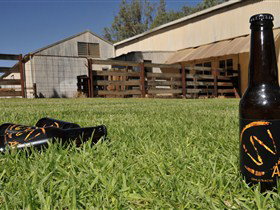 Wilkadene, Woolshed Brewery - New South Wales Tourism  0