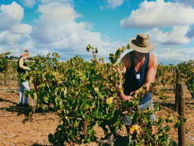 Torbreck Vintners - New South Wales Tourism  0