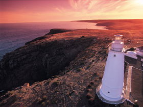 Lashmar Conservation Park - New South Wales Tourism  0