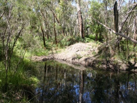 City West Campus SA New South Wales Tourism 