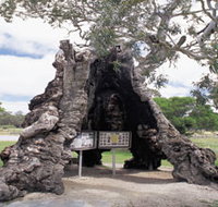 The Herbig Family Tree - New South Wales Tourism 