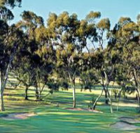 Tanunda Pines Golf Club - New South Wales Tourism 