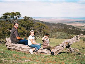 Bridle Track - New South Wales Tourism  0