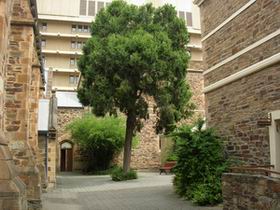 Flinders Street Baptist Church - New South Wales Tourism  0