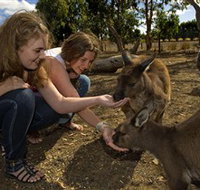 Kangaroo Island Wildlife Park - New South Wales Tourism 