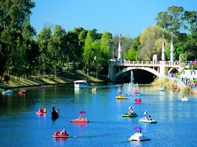 Captain Jolleys Paddle Boats - New South Wales Tourism  0