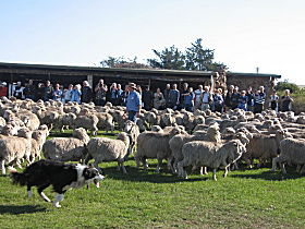  New South Wales Tourism 