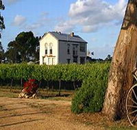 Highbank Vineyards - New South Wales Tourism 