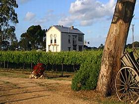 Highbank Vineyards - New South Wales Tourism  0