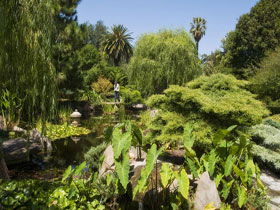 Adelaide Himeji Garden - New South Wales Tourism  0