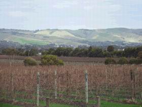 Mclaren Vale Premium Wines - New South Wales Tourism  0