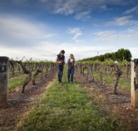 Coonawarra Wineries Walking Trail - New South Wales Tourism 