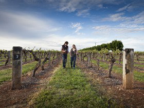 Coonawarra Wineries Walking Trail - New South Wales Tourism  0
