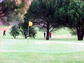Meningie Lake Albert Golf Club - New South Wales Tourism  0