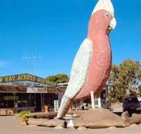 The Big Galah - New South Wales Tourism 