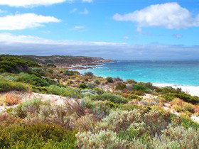 New South Wales Tourism