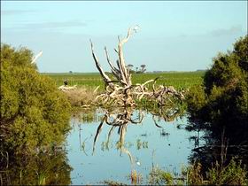 Bool Lagoon Game Reserve And Hacks Lagoon Conservation Park - New South Wales Tourism  0