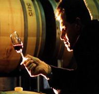 Salena Estate Wines - New South Wales Tourism 