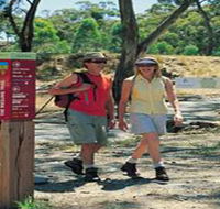 Riesling Trail - New South Wales Tourism 