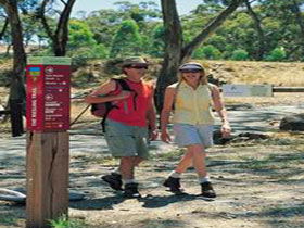 Riesling Trail - New South Wales Tourism  0