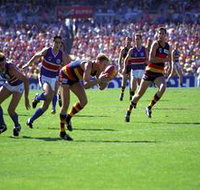 AAMI Stadium Tours - New South Wales Tourism 