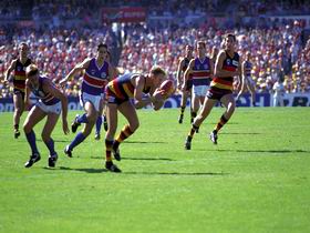 AAMI Stadium Tours - New South Wales Tourism  0