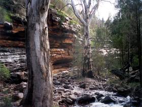 Mambray Creek SA New South Wales Tourism 