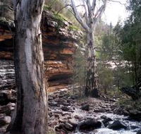 Mount Remarkable National Park - New South Wales Tourism 