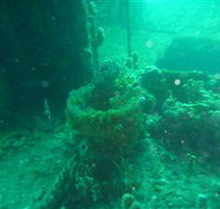 Wallaroo Scuba Club - New South Wales Tourism 