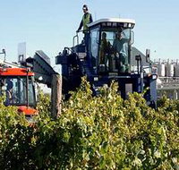 Ballast Stone Estate Wines Pty Ltd - New South Wales Tourism 