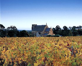 Sevenhill Cellars - New South Wales Tourism  0