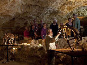 Naracoorte Caves National Park - New South Wales Tourism  0