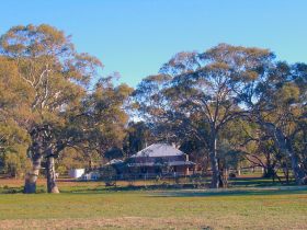 Flinders Ranges And Outback SA New South Wales Tourism 