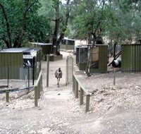 Humbug Scrub Wildlife Sanctuary - New South Wales Tourism 