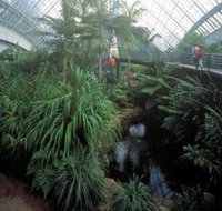 Bicentennial Conservatory - New South Wales Tourism 