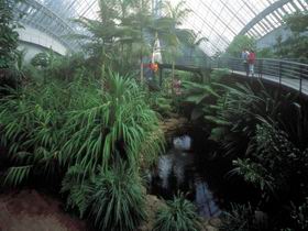 Bicentennial Conservatory - New South Wales Tourism  0
