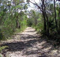 Wendy's Walk - New South Wales Tourism 