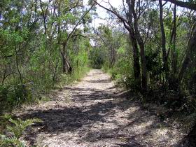 Wendy's Walk - New South Wales Tourism  0