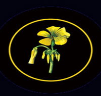 Battle of Bosworth Wines - New South Wales Tourism 